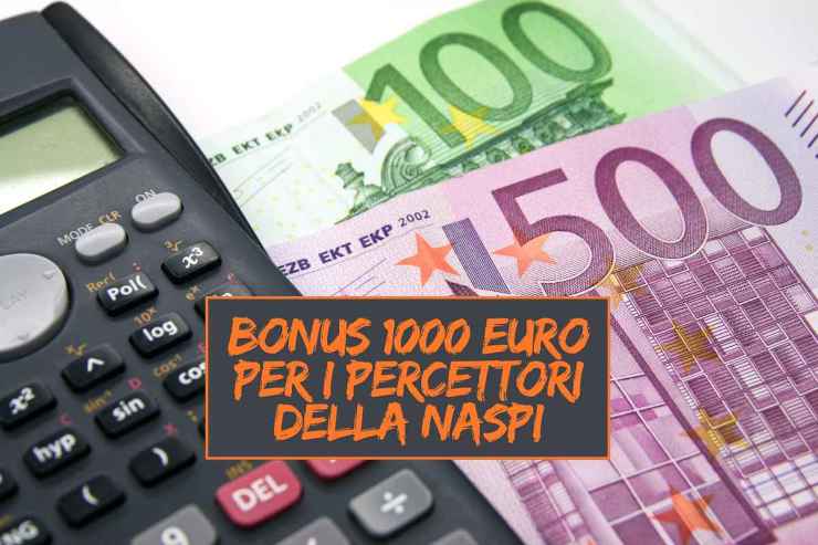 Bonus 1000 euro percettori Naspi