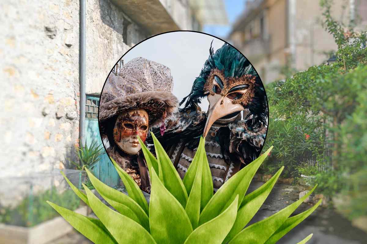 Città Frosinone, maschere di Carnevale, agave