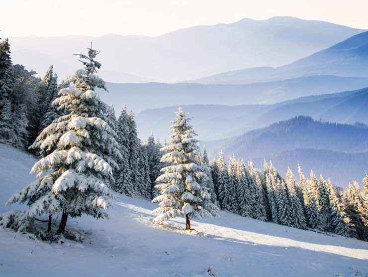 paesaggio di montagna innevato