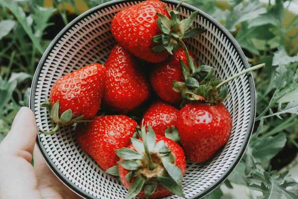 Ciotola con fragole grandi e rosse