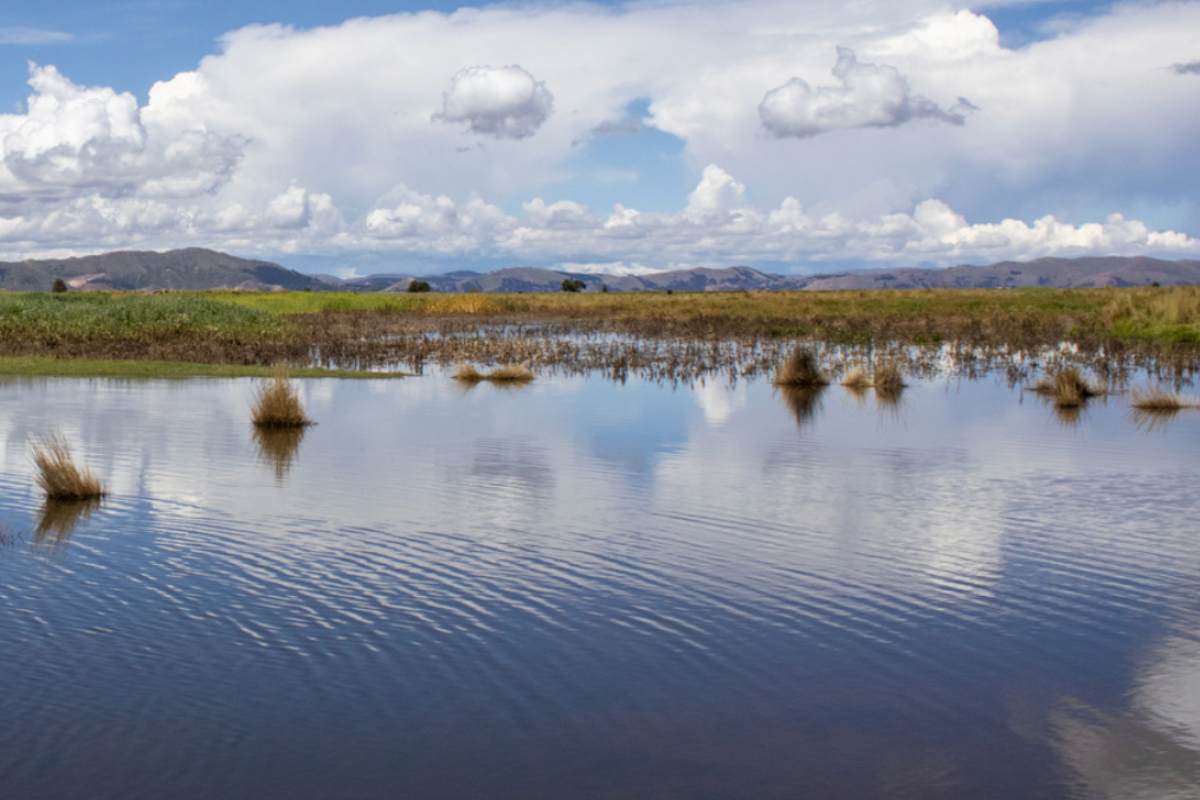 Lago circondato dalla vegetazione