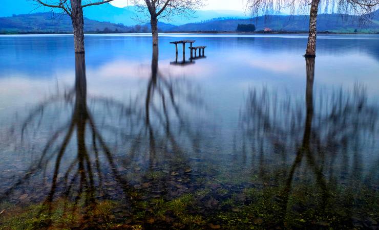 Alberi che si specchiano nel lago