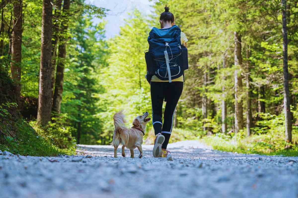 Ragazza affronta un percorso boschivo insieme al suo cane