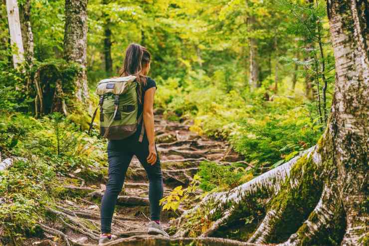 Ragazza con zaino in spalla che si inoltra all'interno di un bosco