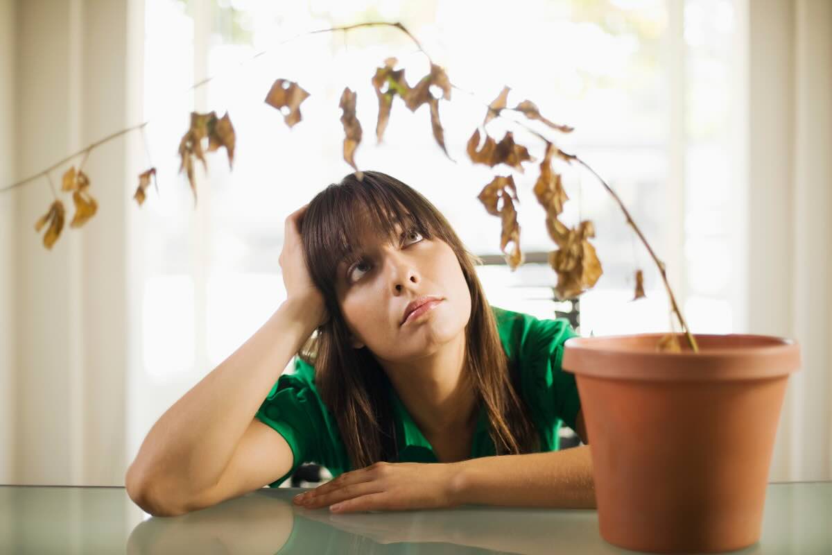 ragazza con mano in testa che guarda pianta secca nel vasetto